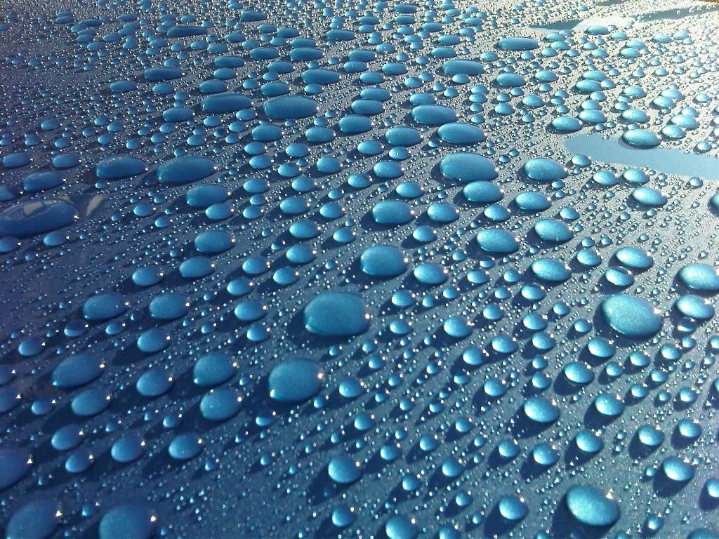 Nice Beading Detailing World Forum