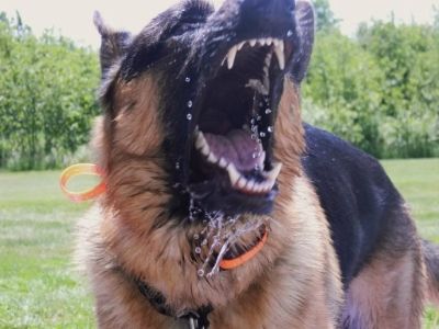 photo 1a4cd766-5468-45c1-ad4f-387db372fd54_zps6c11b834.jpg