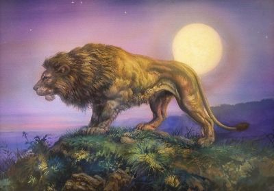 photo 58a36fda-1402-4a56-95ca-bda9a71c412b_zpsf3675e66.jpg