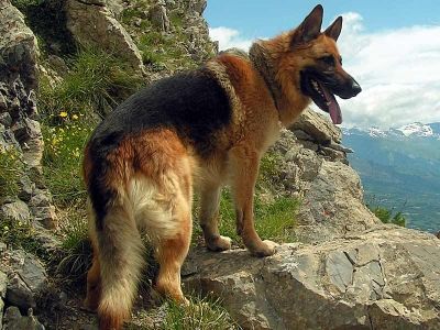 photo e2941038-879d-441e-b515-c668c9355211_zpsbc3c2c64.jpg