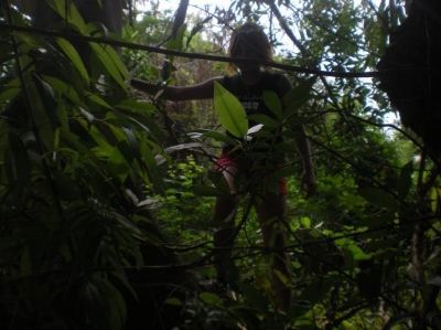 photo ef4f8a10-9bcd-48f6-b328-f9491b180afc_zpsc4b5622a.jpg