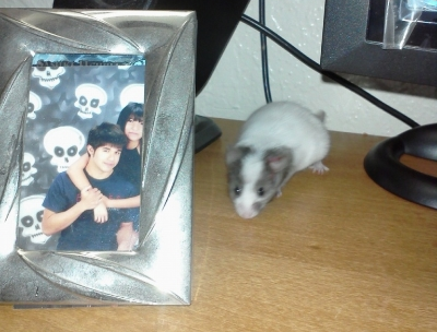 photo yui_zpsec923a5c.png