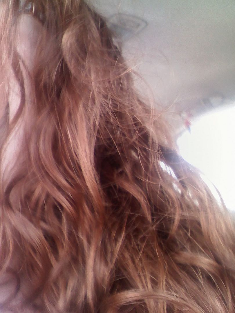 Forum Image: http://i346.photobucket.com/albums/p405/Ziggy0taku/Me%20Myself%20and%20I/haircolor.jpg