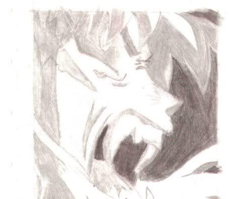 Forum Image: http://i346.photobucket.com/albums/p405/Ziggy0taku/My%20Drawings/Inuyasha.jpg