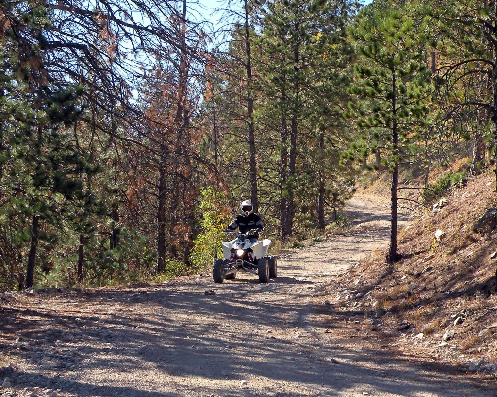 Black Hills Polaris RZR Forum RZR
