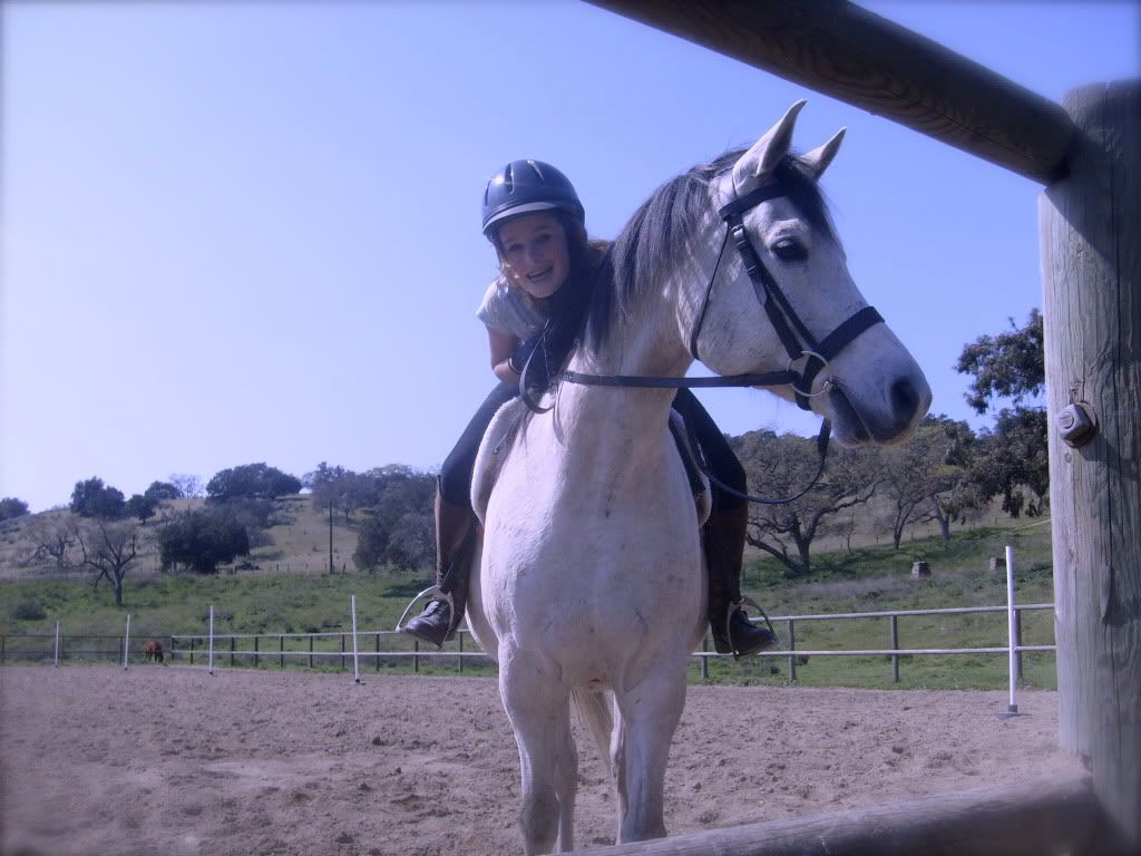 horse,ride,jump,yay