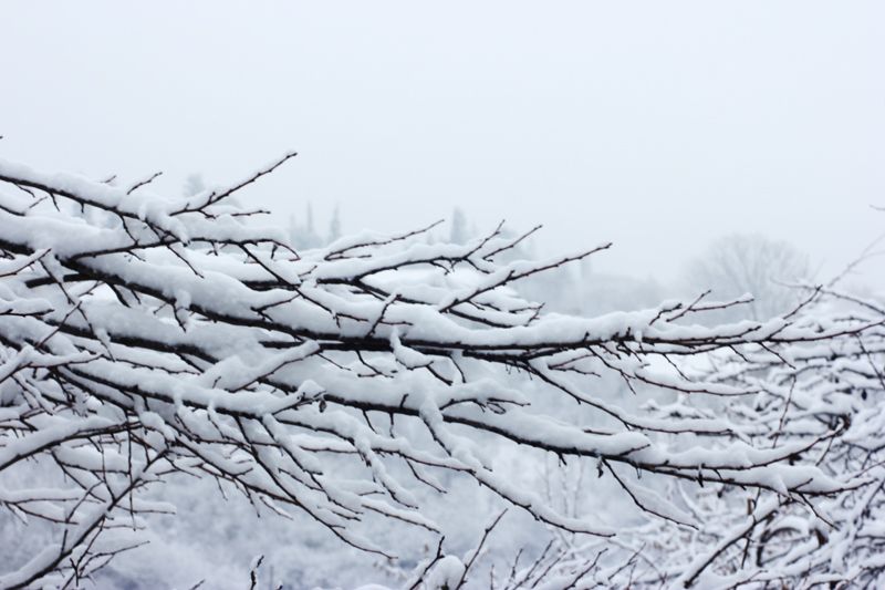  photo snowinarmenia5_zps63d1e72f.jpg