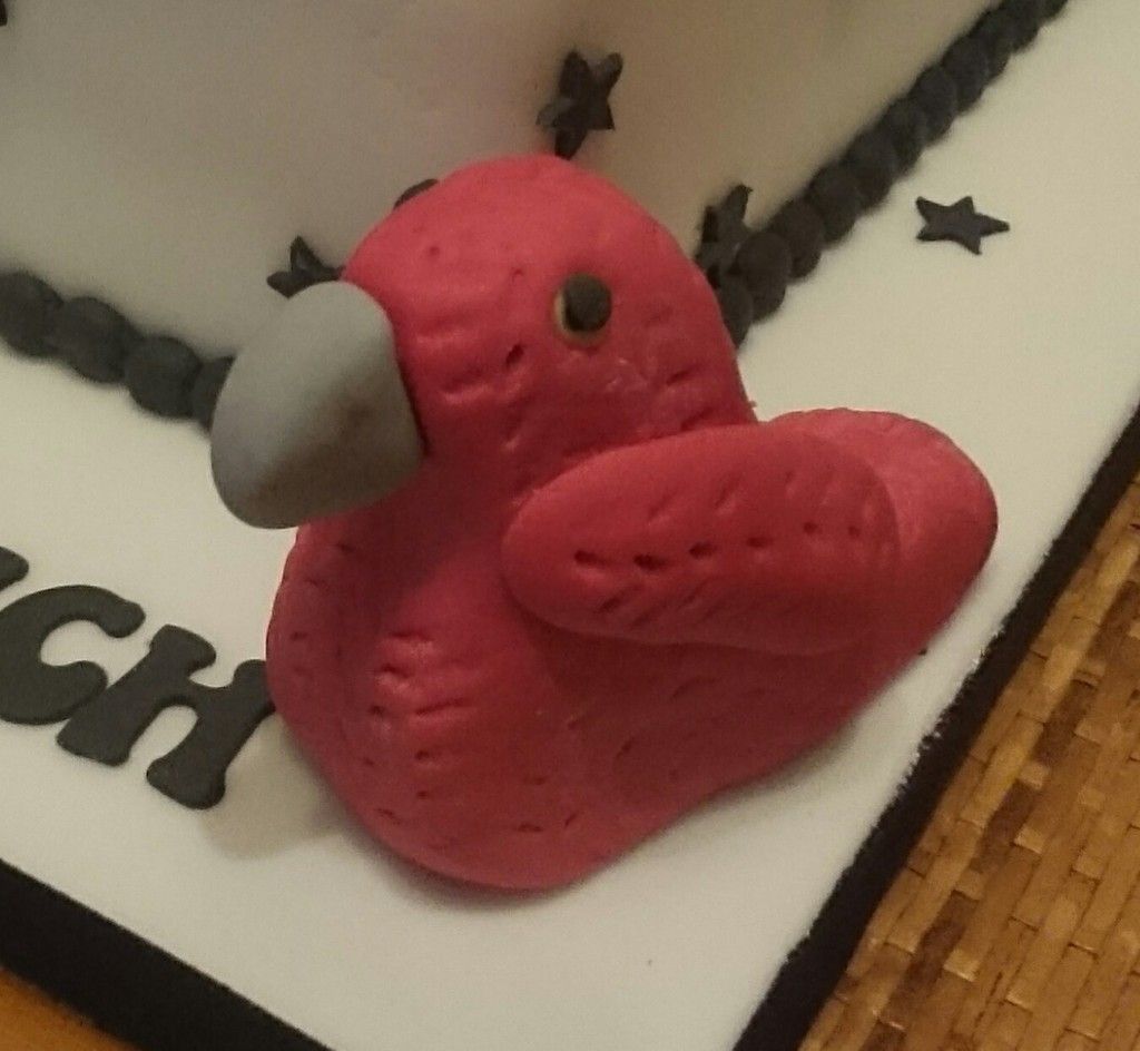 Birthday Cake For Conure Birthday Cake For Conure