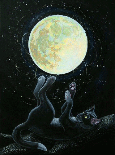 http://i346.photobucket.com/albums/p408/m1955h281/659301089_zpsnuneerkg.gif