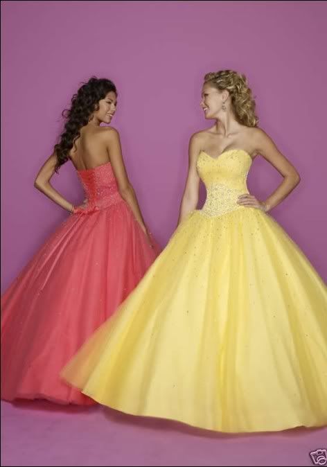 343.jpg picture by mlaixy