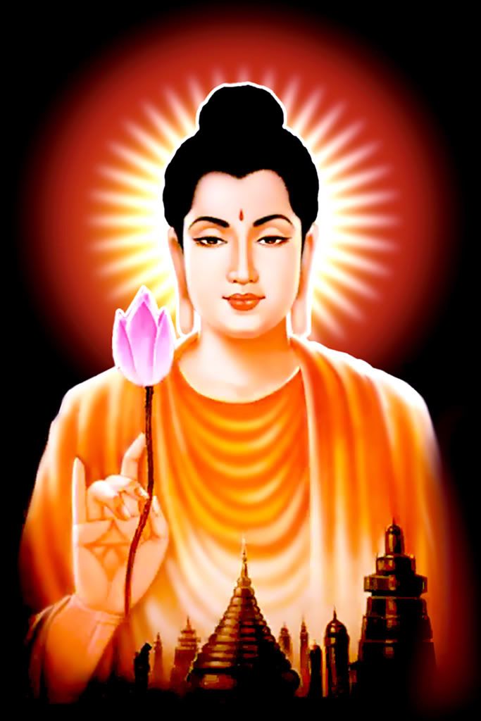 photo namo84000en 10_zps5jdlkcld.jpg