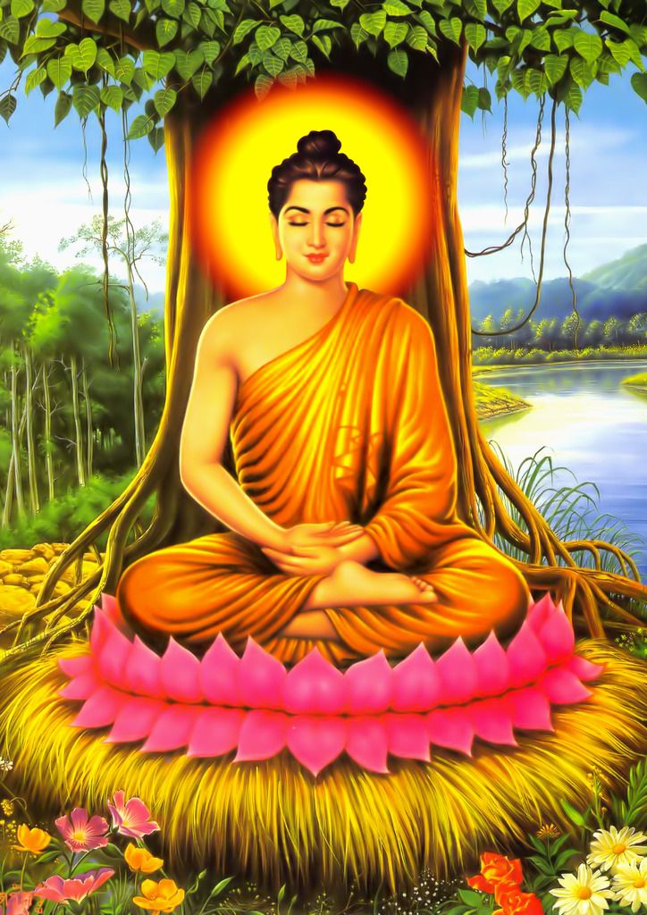 photo PHAT THICH CA 4 copy_zpstpnkmrsv.jpg