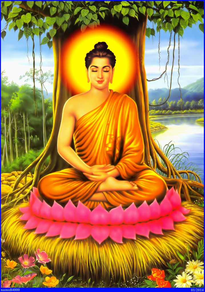 photo PHAT THICH CA 5 copy_zpsgls9o1gl.jpg