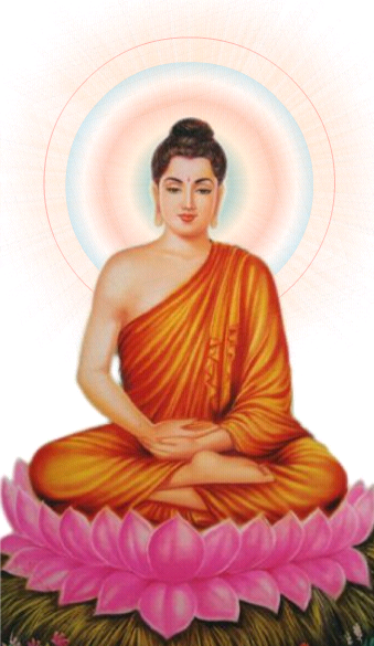 photo ln 1 94_zpspi3vlud6.png