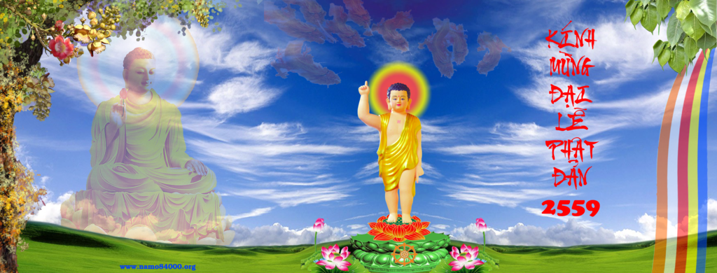 photo Buddha-2559_zps7twrrxo3.png