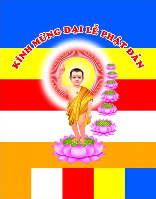 photo namo84000en 7_zpsyk2gwoap.jpg