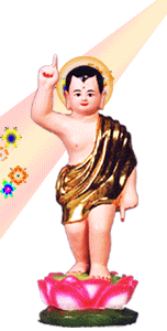 photo phatdansanh123 3_zpskdwyzrtc.gif