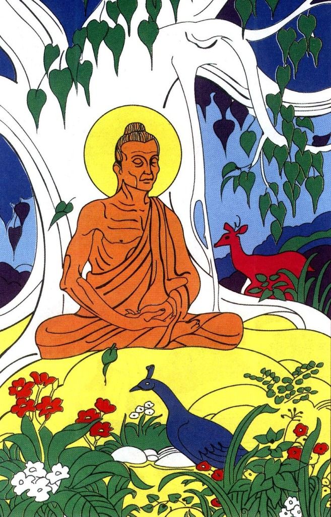 photo Asceticism28229-cropped_zpsxynxkcdc.jpg