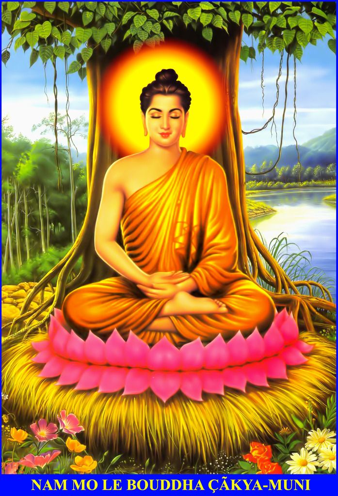 photo Nam mo Le Boudddha Cakya Muni_zpscfndgjwb.jpg