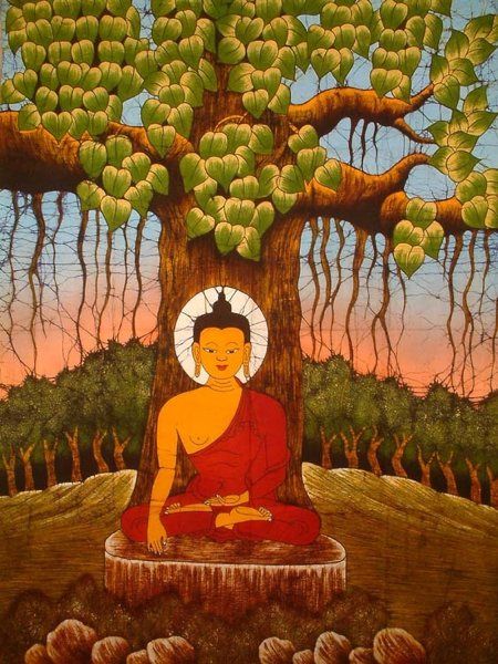 photo buddha-fig-tree_zpsiliokdmt.jpg