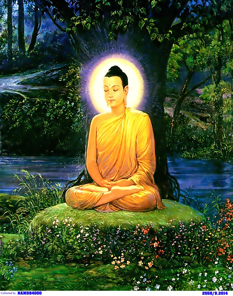 photo buddhaundertree2004B copy_zps9hmssi6d.jpg