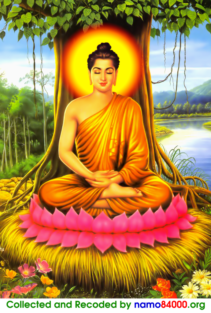photo PHAT THICH CA 4 copy_zpsutkcqprp.png