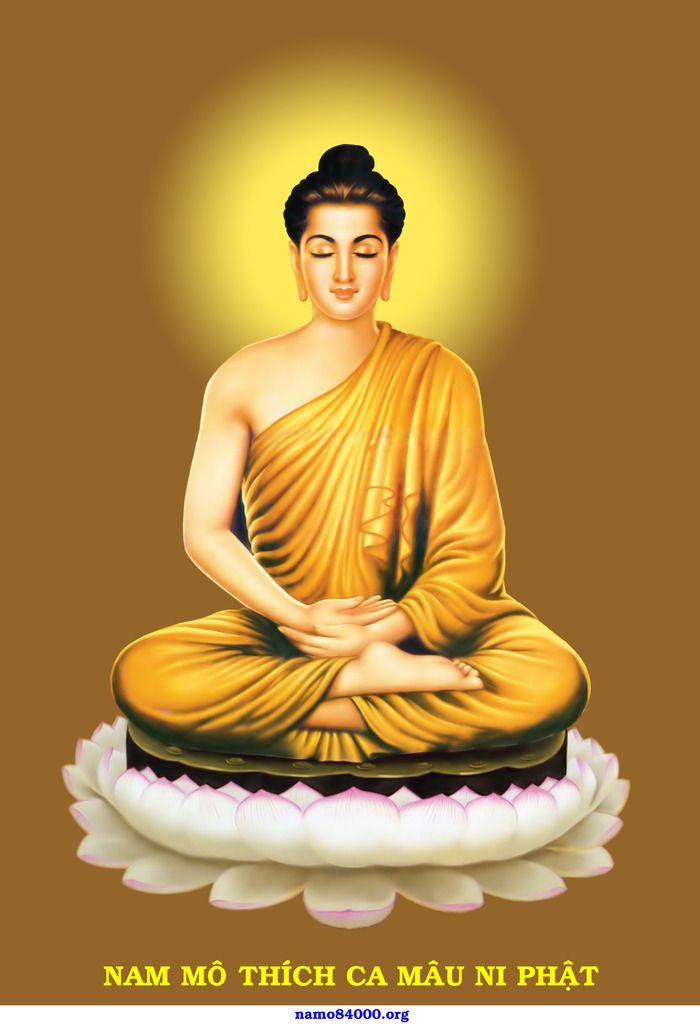 photo PHAT THICH CA copy vi_zpsmzvvpllt.jpg