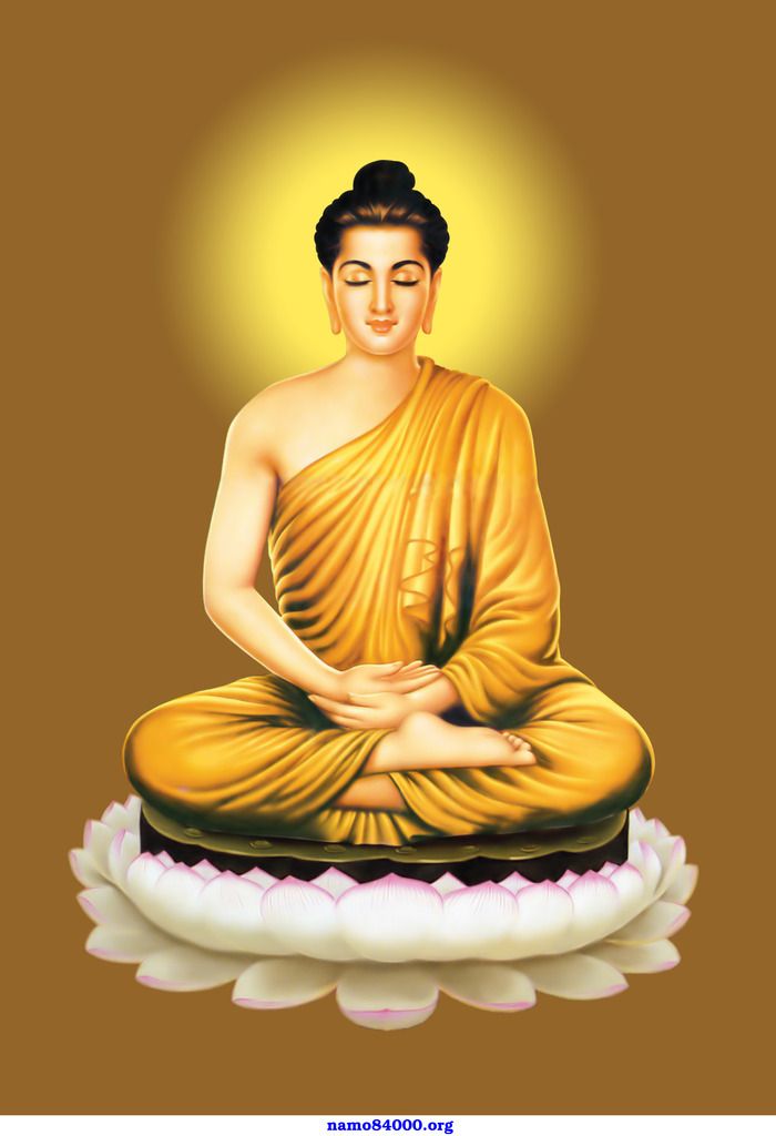 photo PHAT THICH CA copy2_zpstokqal5m.jpg