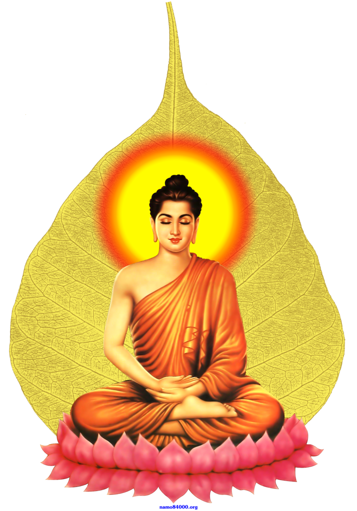 photo Phat Thich Ca 2 copy11111_zps3yvxcudg.png