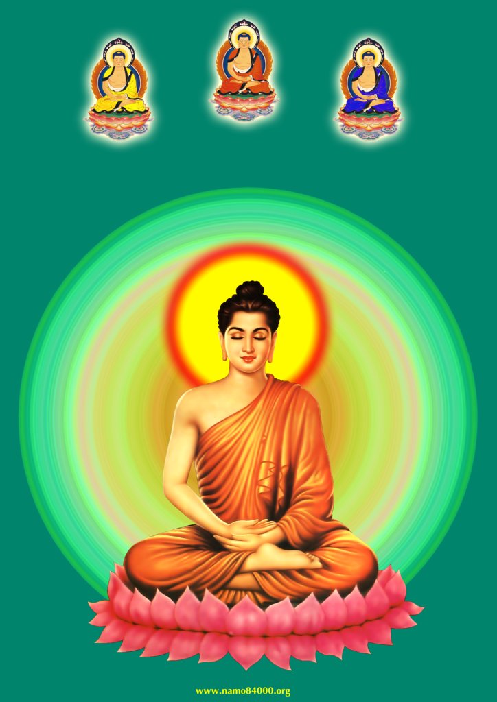 photo Phat Thich Ca2 copy3_zpsgdppqllz.png