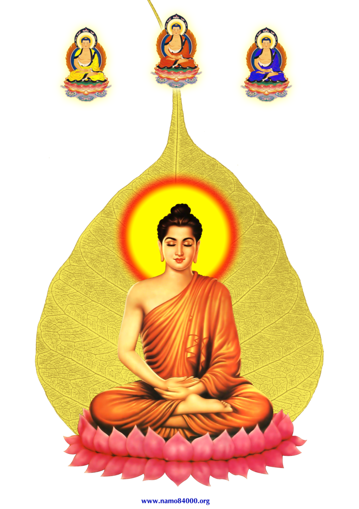 photo Phat Thich Ca2 copy4_zpsfcrqy4cd.png