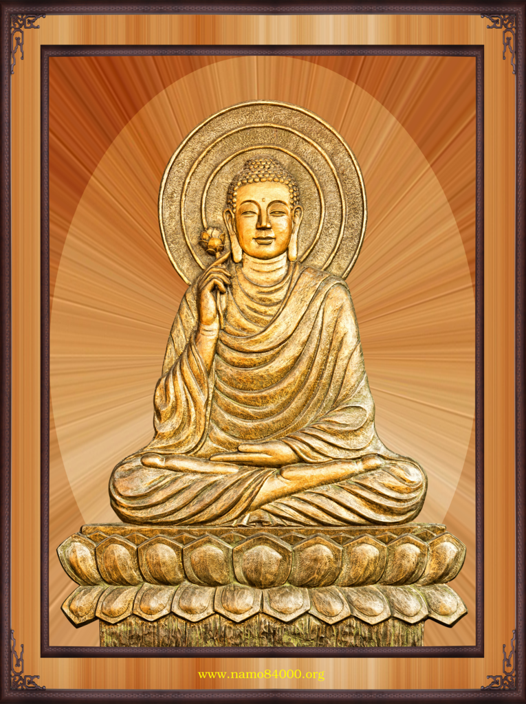 photo PhatThichCa1_zpsvmkcxj54.png