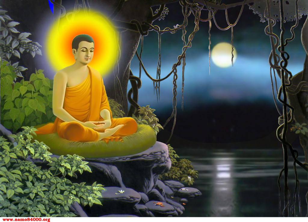 photo namo84000-avatar1752012-7 copy_zpsg01bkxlt.png