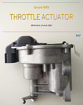 Throttle Actuator