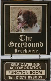 the greyhound