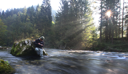 Radovna Fly Fishing