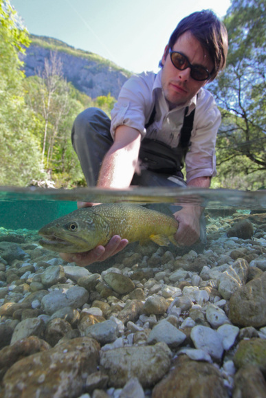Marble Trout