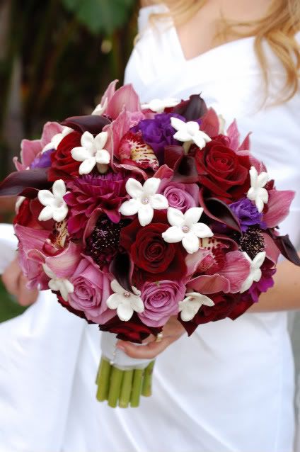 Burgundy Scabiosa