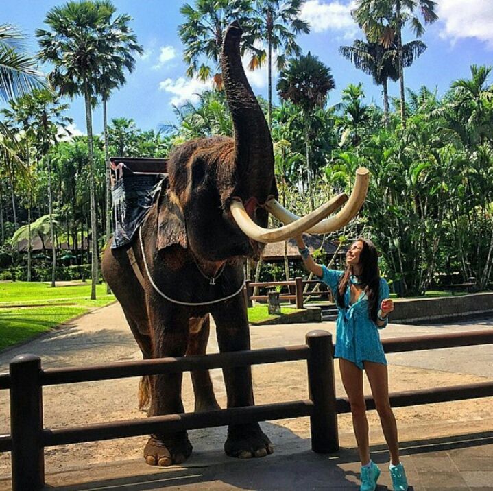 Gajah di Bali