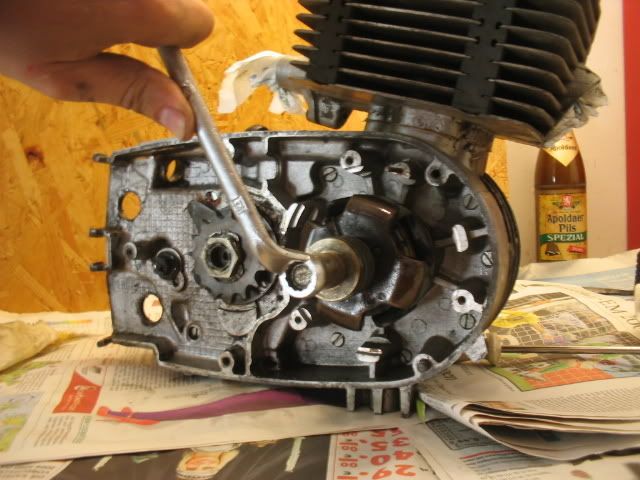 Bild
