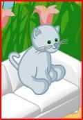 webkinz charcol cat Pictures, Images and Photos