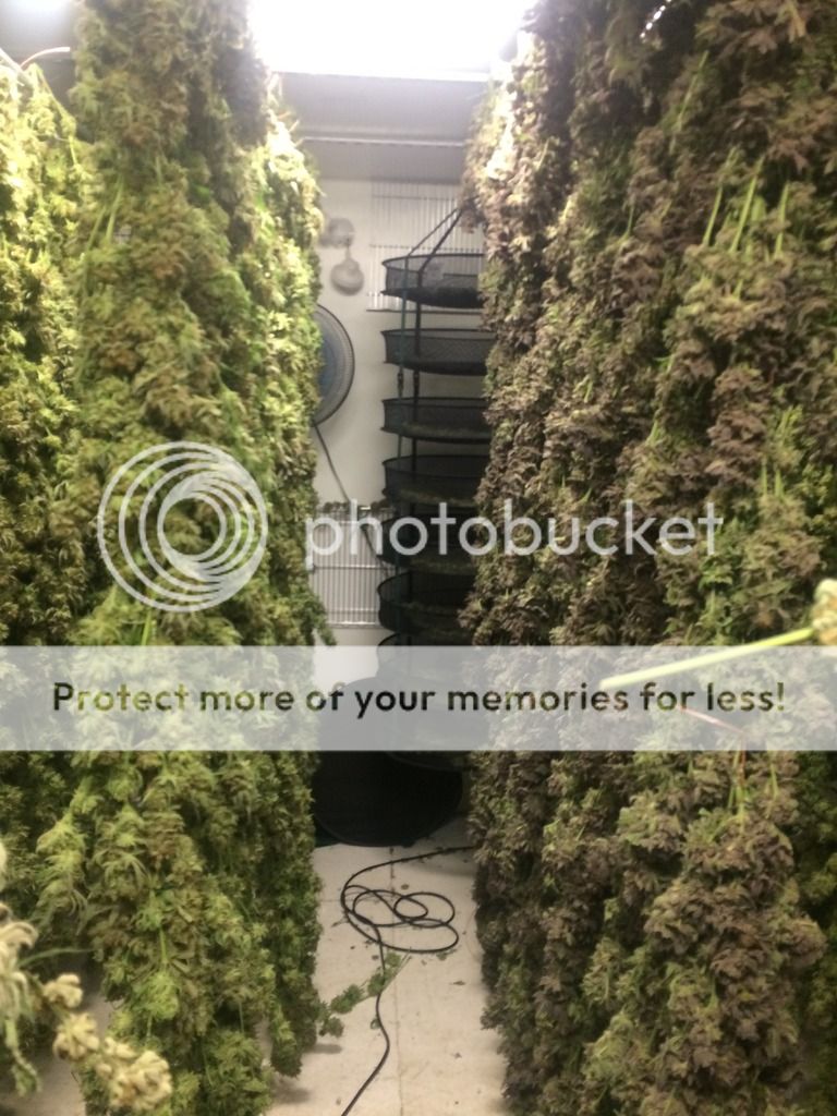  photo IMG_0174_zpsavf8l9jw.jpg