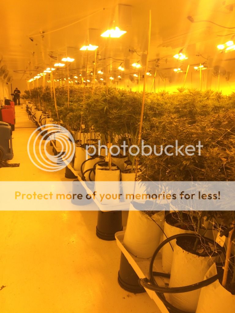  photo IMG_0231_zpsyycfw9bp.jpg