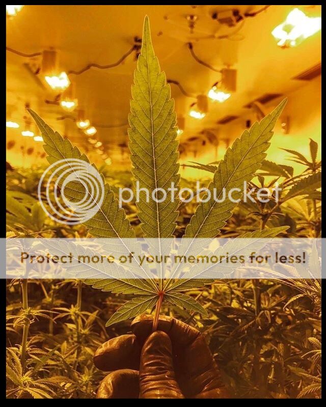  photo IMG_0956_zpsqem4zmlg.jpg