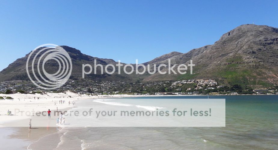 Eén dag in Kaapstad: tips. Bezoek Hout Bay | Mooistestedentrips.nl