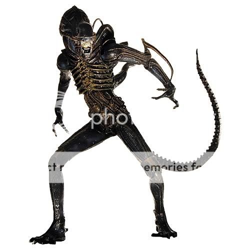 Aliens New NECA 7 Alien Warrior Action Figure  