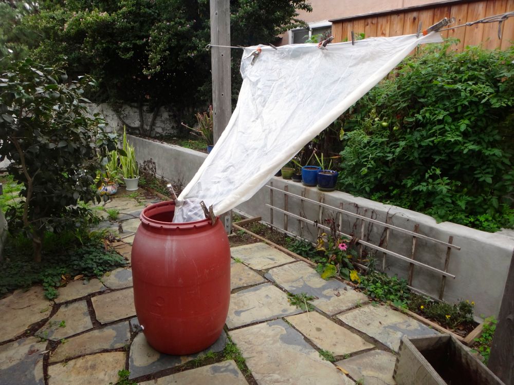 Do you collect rain water? What's your setup? : r/SavageGarden